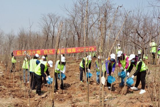1.作品名称：春风行动 增林扩绿 建设美丽中国 报送单位：中国林产品集团有限公司